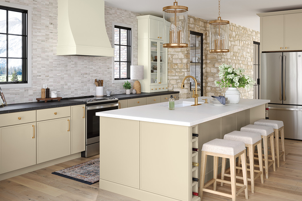 Cheap Shaker Cabinets: Are They Worth It?